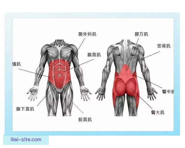 里夫斯腹斜肌二级损伤专家解析詹皇季后赛核心策略